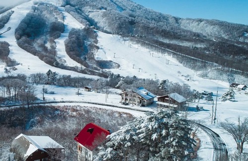 Madarao Mountain Resort Ski Chalet | Madarao Private Ski Lodge | Sleeps 18 | 50m to Slopes