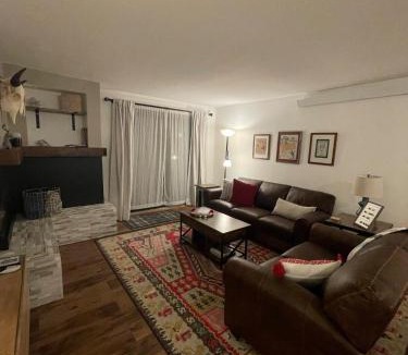 Mount Crested Butte Apartment | Newly Renovated Ski In Ski Out 2BR Condo