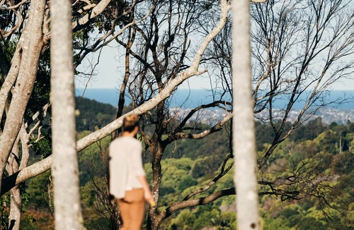 Carool House | Ocean View Homestead and Vineyard