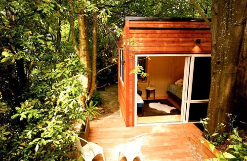 Sunshine Bay Cabin | Quiet Private Cabin with Forest Spa Escape Near Bushland | Queenstown, New Zealand