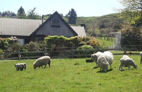 Hamurana House | Romantic Getaway Surrounded by Geothermal Wonders near Te Puia, North Island