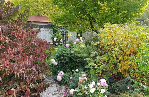 Masterton District Cottage | Rose Cottage - Tranquil retreat