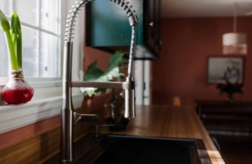 Charleston House | Ruby's Escapade: Art Hotel Speakeasy Vibes with Massive Outdoor Spaces