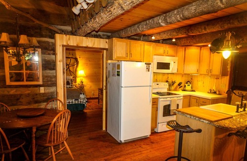 Todd Cabin | Rustic Todd Cabin w/Fire Pit, Creek Views & Pet Friendly!