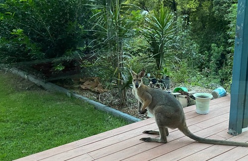 Tallai Apartment | Self contained 2 bed, 2 bath, lounge, pet friendly Gold Coast hinterland.