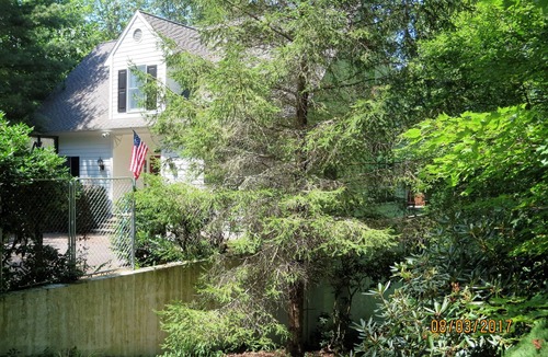 Burnsville House | Serenity House Large Firepit, On the River! With Outdoor Hot Tub!