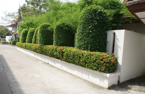 Rawai Villa | Sirinthara