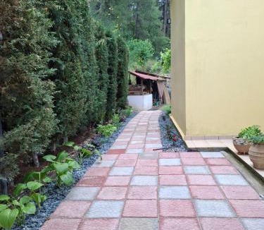 Zigos House | Six Steps From The Forest