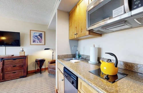 Mount Crested Butte Apartment | Slope access with mtn views, in/outdoor pools, hot tub, sauna, gym