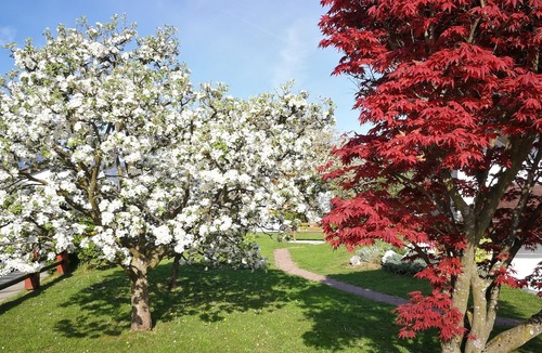 Bled Apartment | The Apartments Kristan are located in Bled, at the edge of the lovely meadow fro