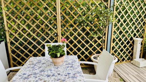 Termini House | The Dream