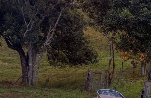 Middle Pocket Cabin | The Vale Casita & Animal Sanctuary, Fired Hot Tub + Natural Pool/Pet Friendly