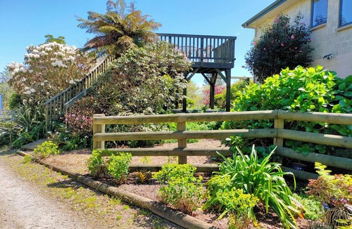 Tikitere Apartment | Tikitere Treasure - Peace, serenity and plenty of birdsong. Studio unit.