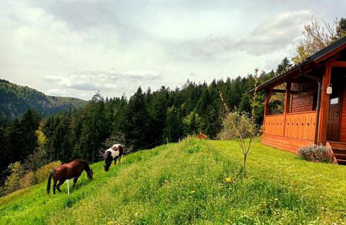 Predjama House | Tiny house