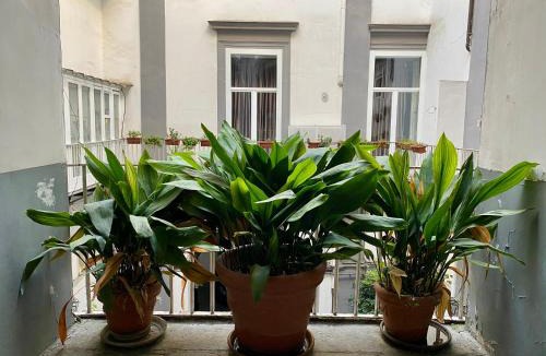 Montecalvario Apartment | Un Posto Al Centro