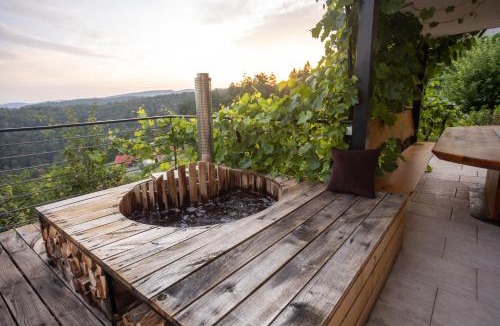 Ivancna Gorica House | Vineyard cottage Sonce