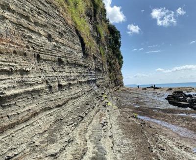 Orewa Hotel | Waves