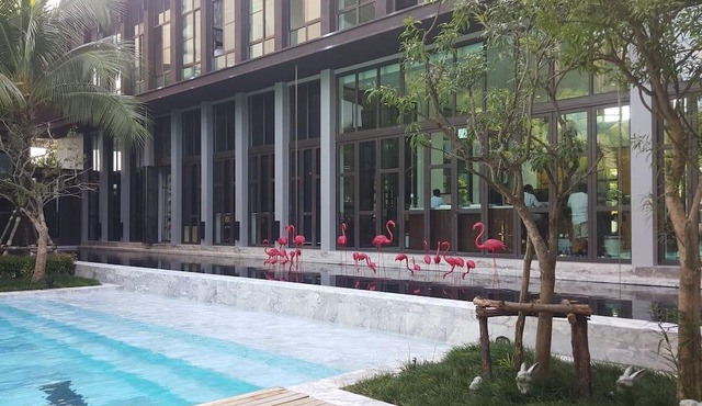 1 Bedroom 57sqm Luxury Apartment with Pool View