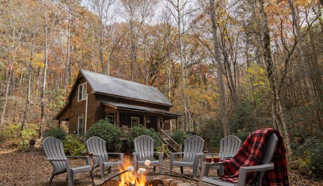 3BR Cabin in Appalachian Mountains! -dog friendly, firepit, creek in yard in Suches