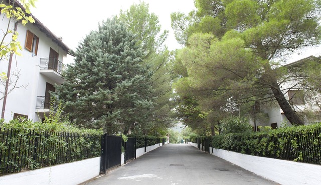 Accommodate two-room apartment in Cilento for small family with pets in Contrada Impiso