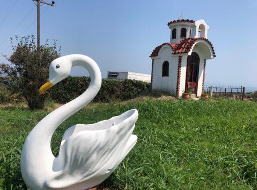 Aelia's Panoramic View in Litochoro