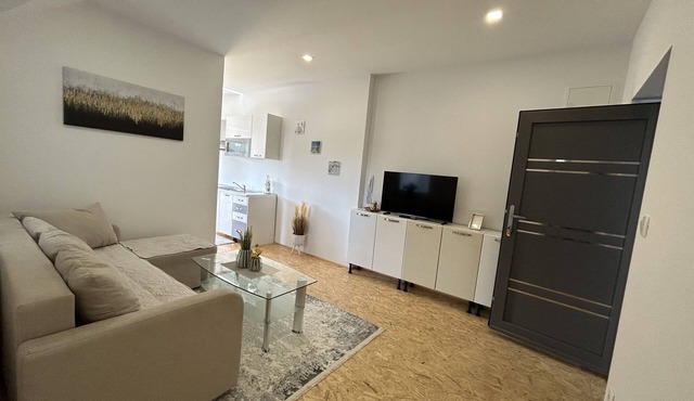 Apartment A1 - One-bedroom apartment A3