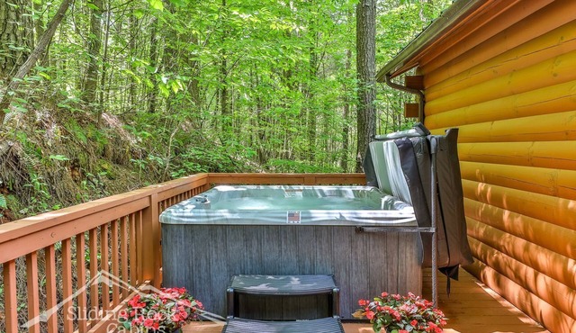 Autumn's Hollow | Pets Stay FREE | Sleeps 4 | Adults Only