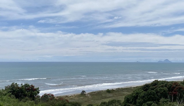 Beachfront Pacific - Rustic Coastal - Guest Suite. in Pikowai