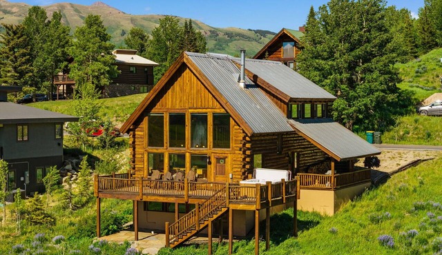 Bear Vista