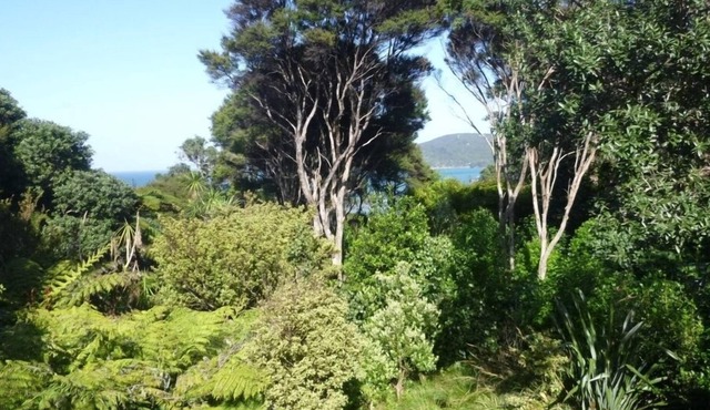 Cabbage Tree Cottage: Cosy home with bush and beach beyond in Tryphena