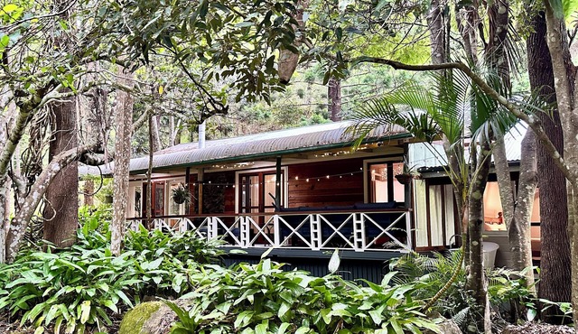 Christmas Creek Rainforest Retreat, ultimate nature filled group getaway.