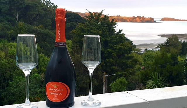 Classic Kiwi bach, sea views and only 45 mins from Auckland