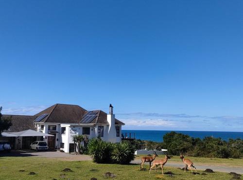 Cove View B&B