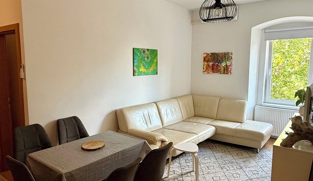 Cozy Central Apartment with Parking & AC near Postojna cave. in Postojna