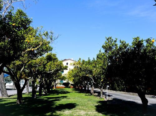 DON PEPPE ROOMS : Villaggio Green