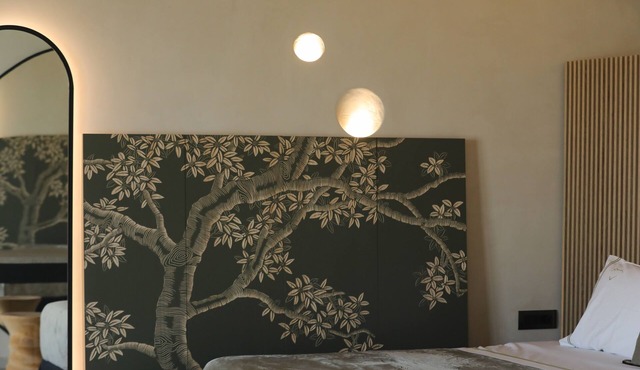 Executive Ruby Suite with Private Pool in Mykonos