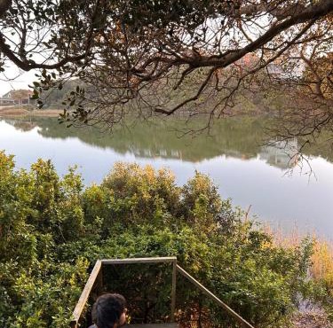 Explore River Cottage Ocean View
