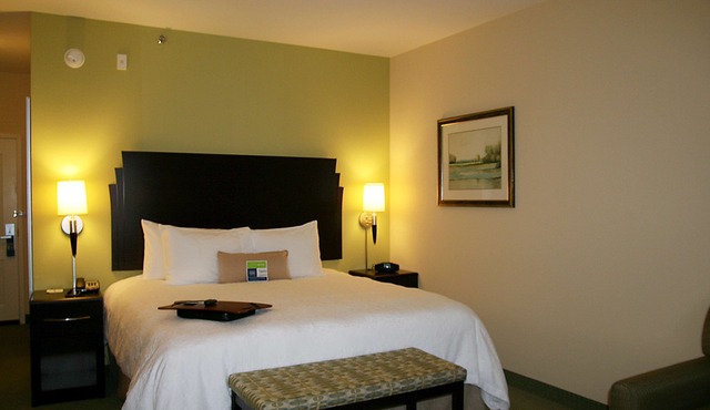 Hampton Inn Alpine in Alpine