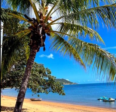ISLAND TROPICS on Magnetic Island