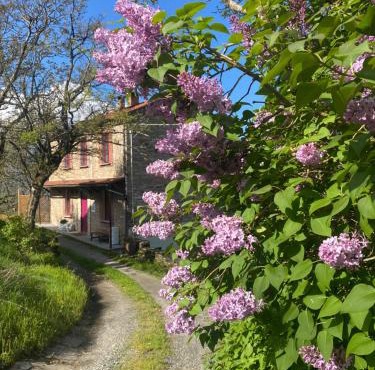 La Lupa e l'Orso B&B in Berceto