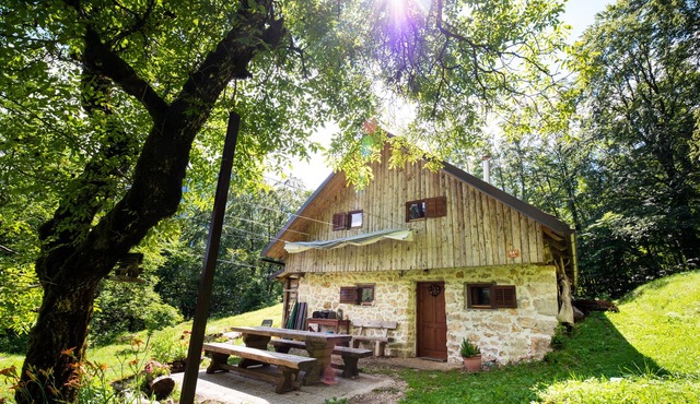 Miha Lodge in the woods with magnificent view