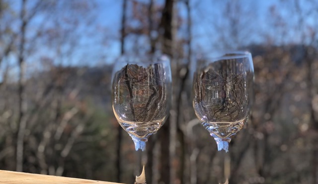 Mountain Views, Fire Pit, Minutes From Downtown Asheville