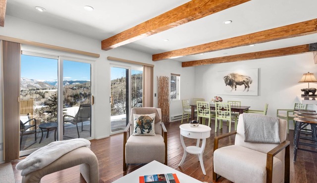 MY MOUNTAIN SHACK-Upscale Condo- Walk to Lifts-Mountain VIEW