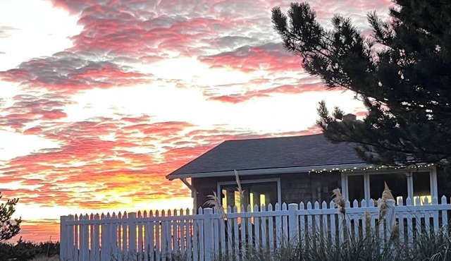 Ocean-front Cedar Cabin, Dog friendly, Birdwatcher's paradise! in Long Beach