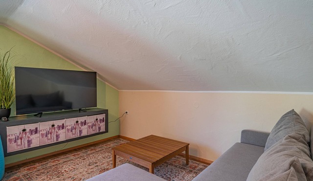 Pet-friendly apartment with a balcony