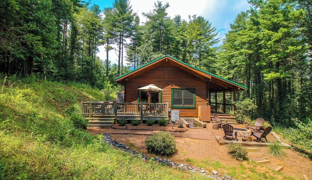 Pet Friendly and Peaceful!