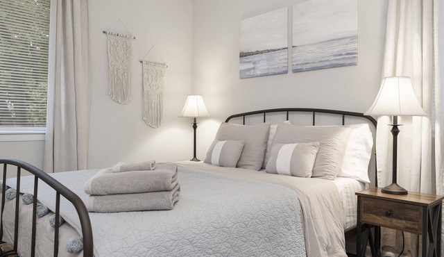 Pet Friendly Apartment in University area in Charlotte