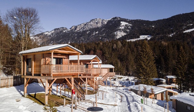 Premium Tree House with 1 bedroom