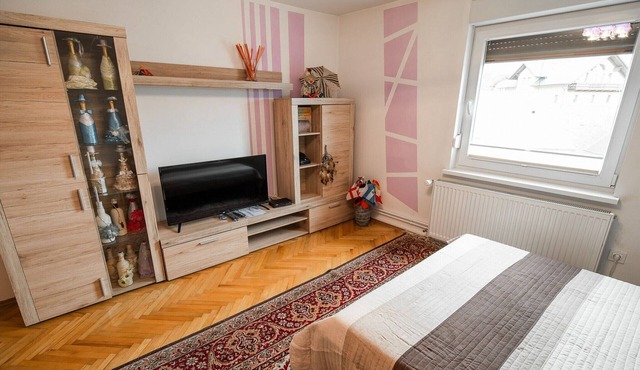 Quiet and Sunny Apartment with Balcony - Two Bedroom Apartment with Balcony