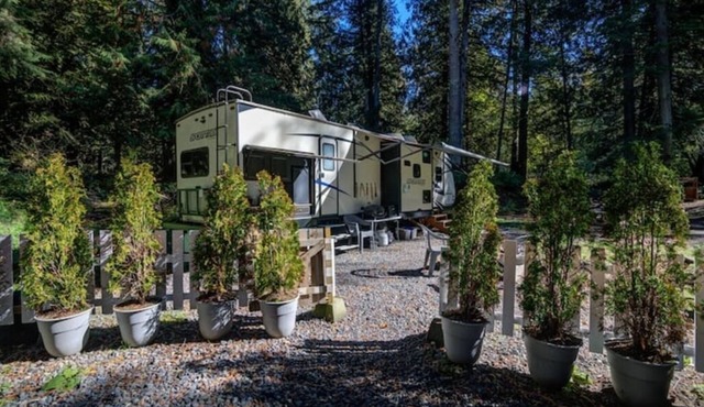 Romantic Stay on Riverfront 30 Acres w/ Hot Tub. Dog Friendly. LGBTQ Owned! in Enumclaw